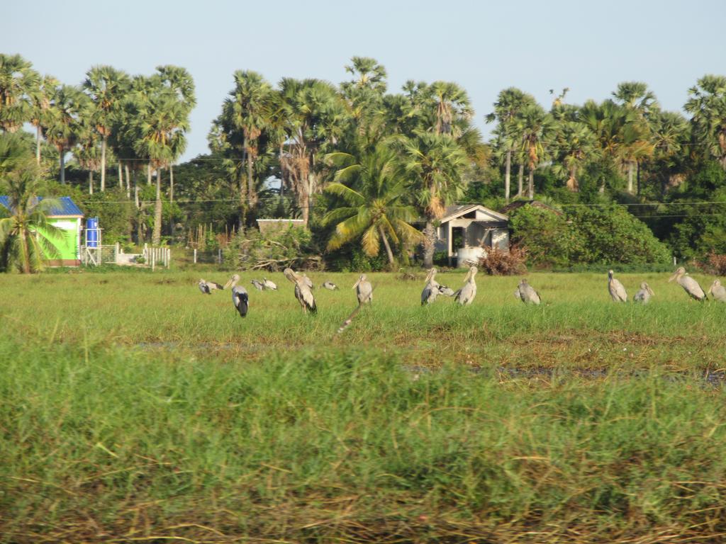 Sathing Phra Ao Thai Resort מראה חיצוני תמונה