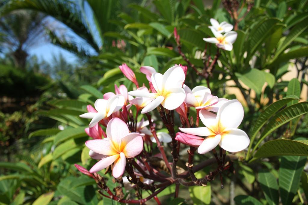Sathing Phra Ao Thai Resort מראה חיצוני תמונה