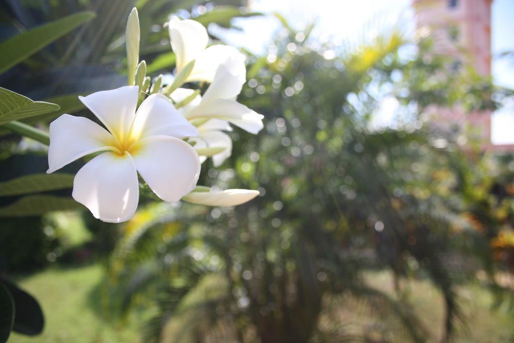 Sathing Phra Ao Thai Resort מראה חיצוני תמונה