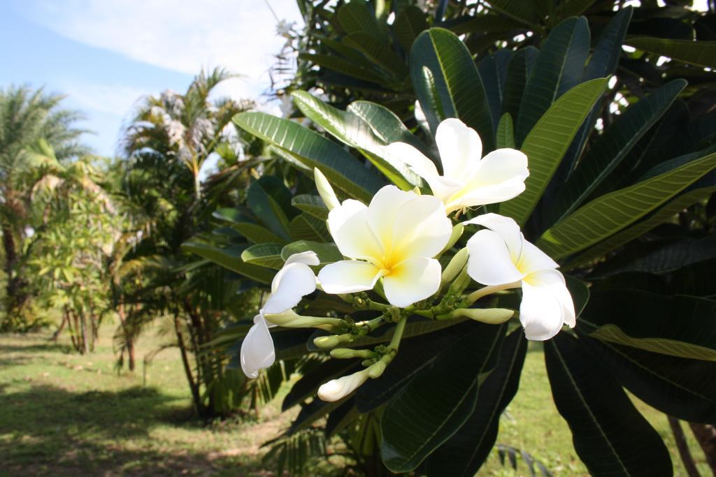 Sathing Phra Ao Thai Resort מראה חיצוני תמונה