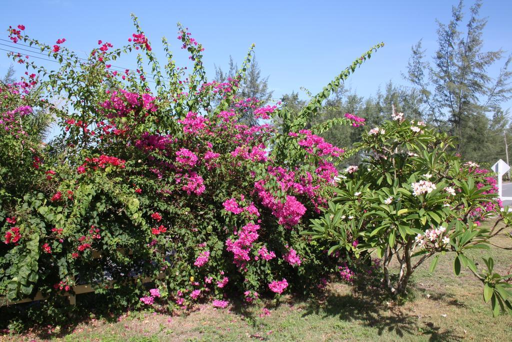 Sathing Phra Ao Thai Resort מראה חיצוני תמונה