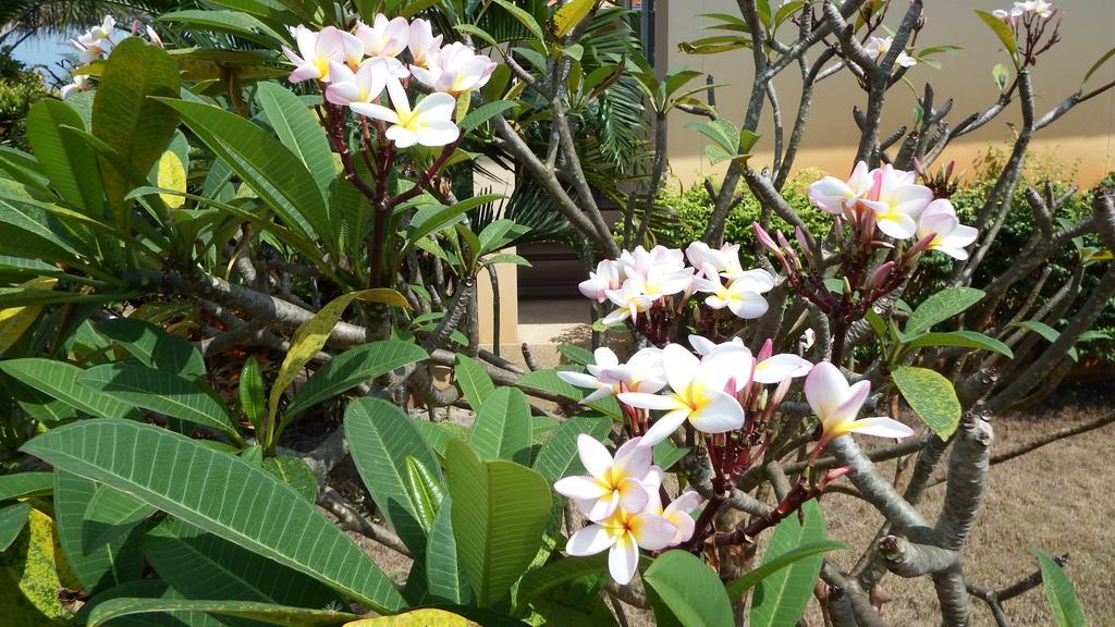 Sathing Phra Ao Thai Resort מראה חיצוני תמונה